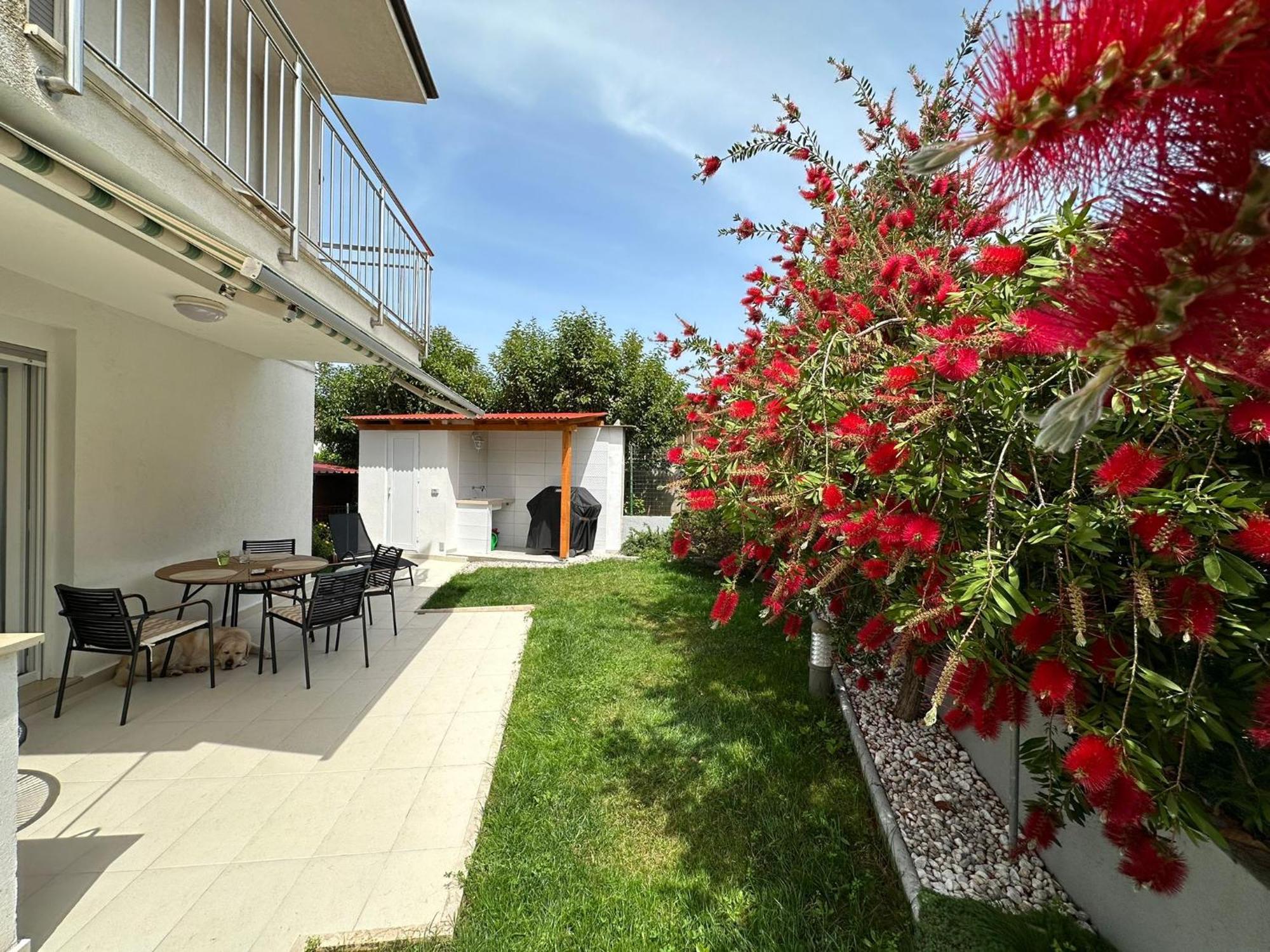 Borik Lea Apartment *
